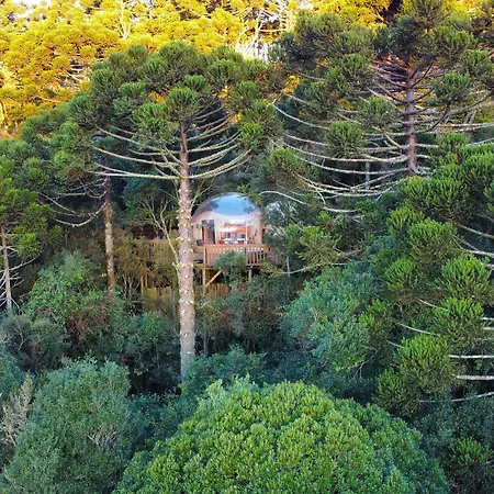 Zion Bubble Glamping-2